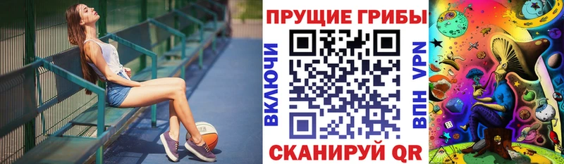 kraken как зайти  Плавск  Псилоцибиновые грибы GOLDEN TEACHER 